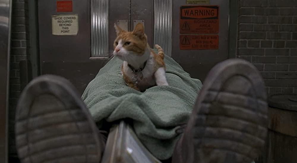 メン・イン・ブラックの画像