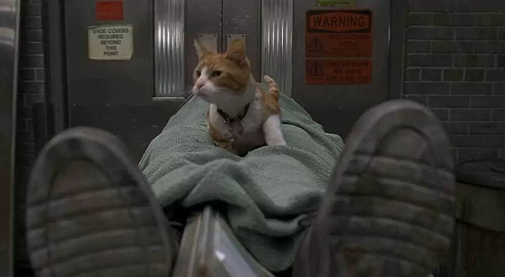 「メン・イン・ブラック」Mike Nussbaumの画像