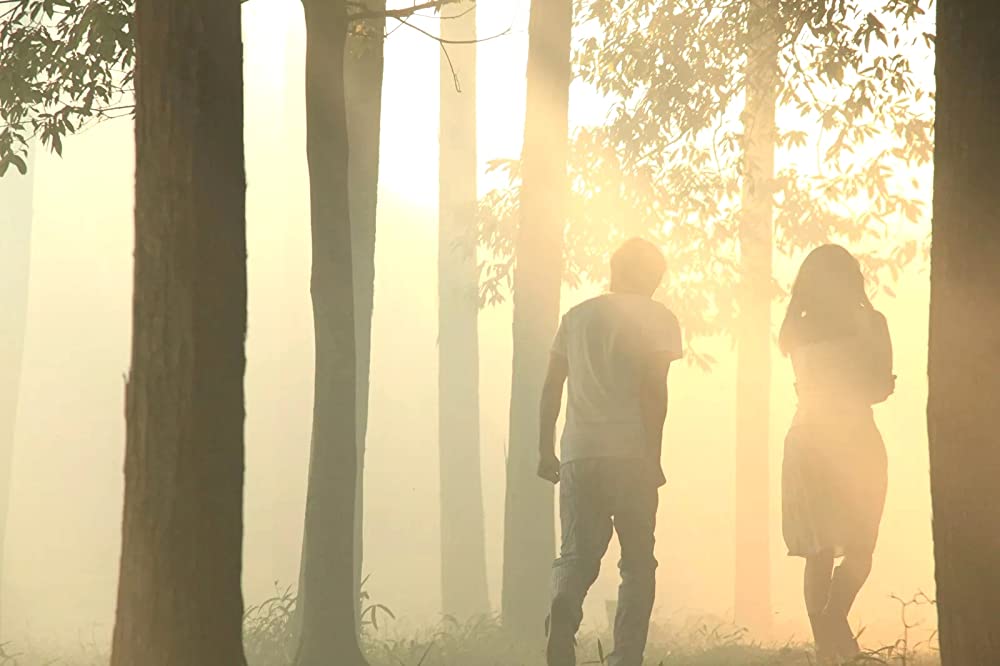 ノルウェイの森の画像