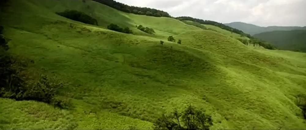 ノルウェイの森の画像