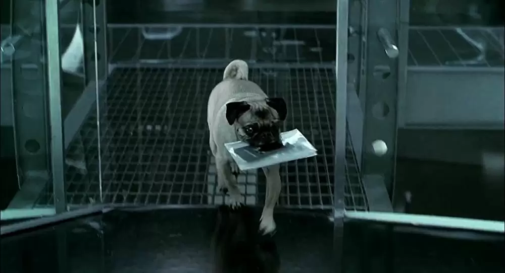 メン・イン・ブラック2の画像