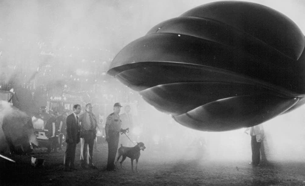 ナビゲイターの画像