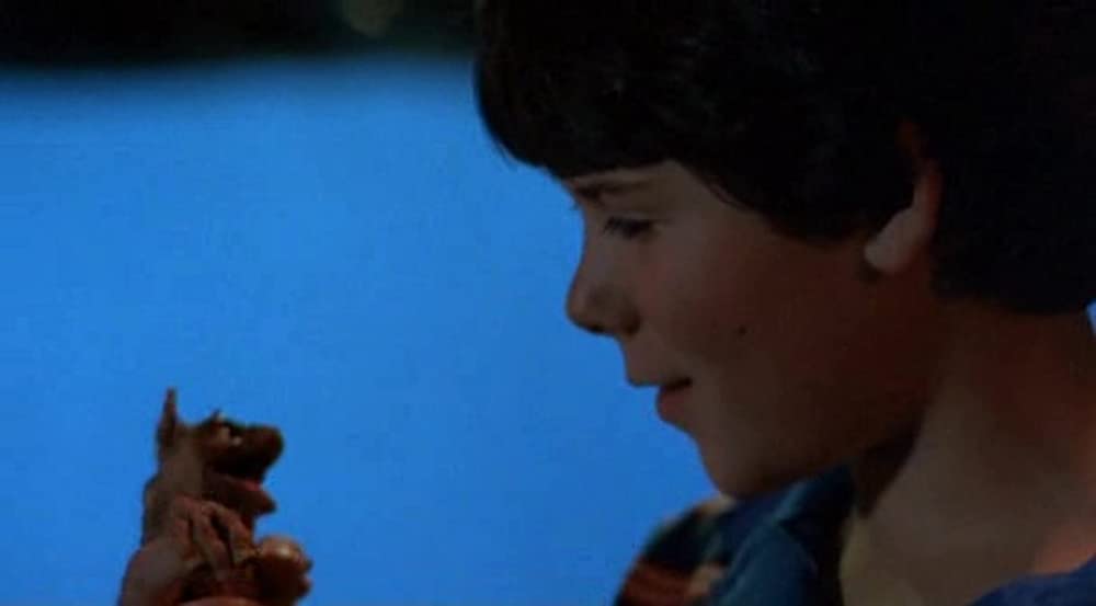 ナビゲイターの画像