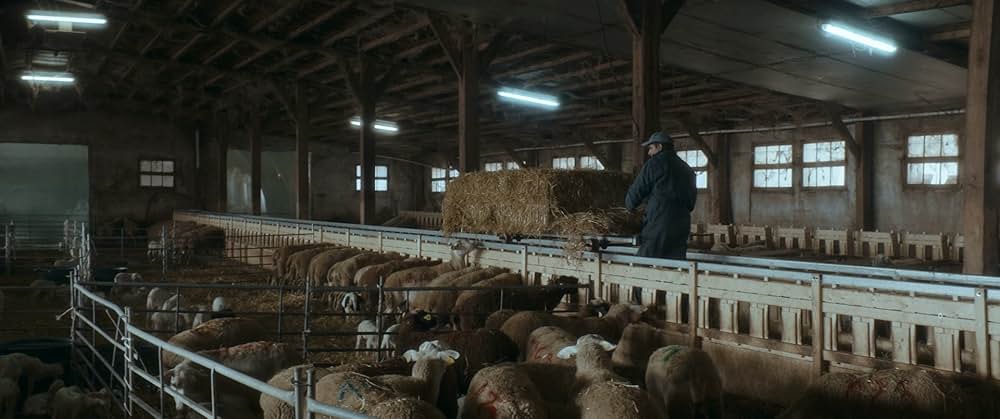 悪なき殺人の画像