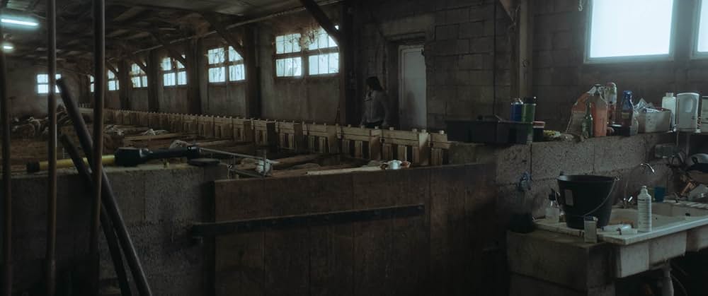 悪なき殺人の画像