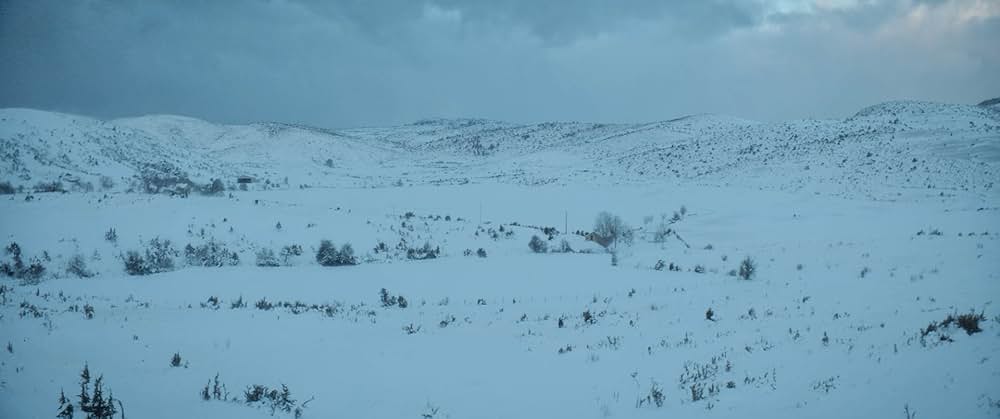 悪なき殺人の画像