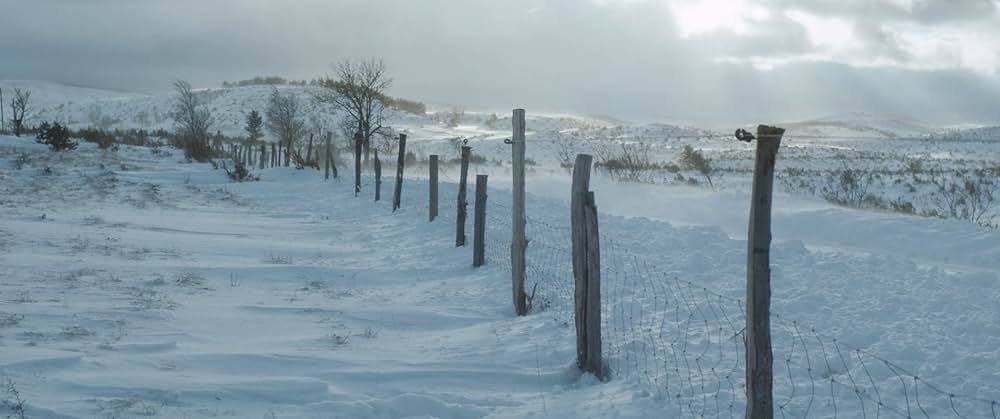 悪なき殺人の画像