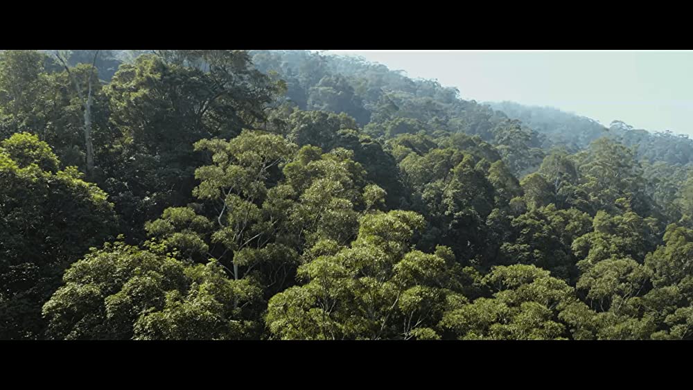 ブラック・クローラーの画像