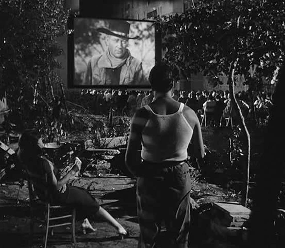 ベリッシマの画像