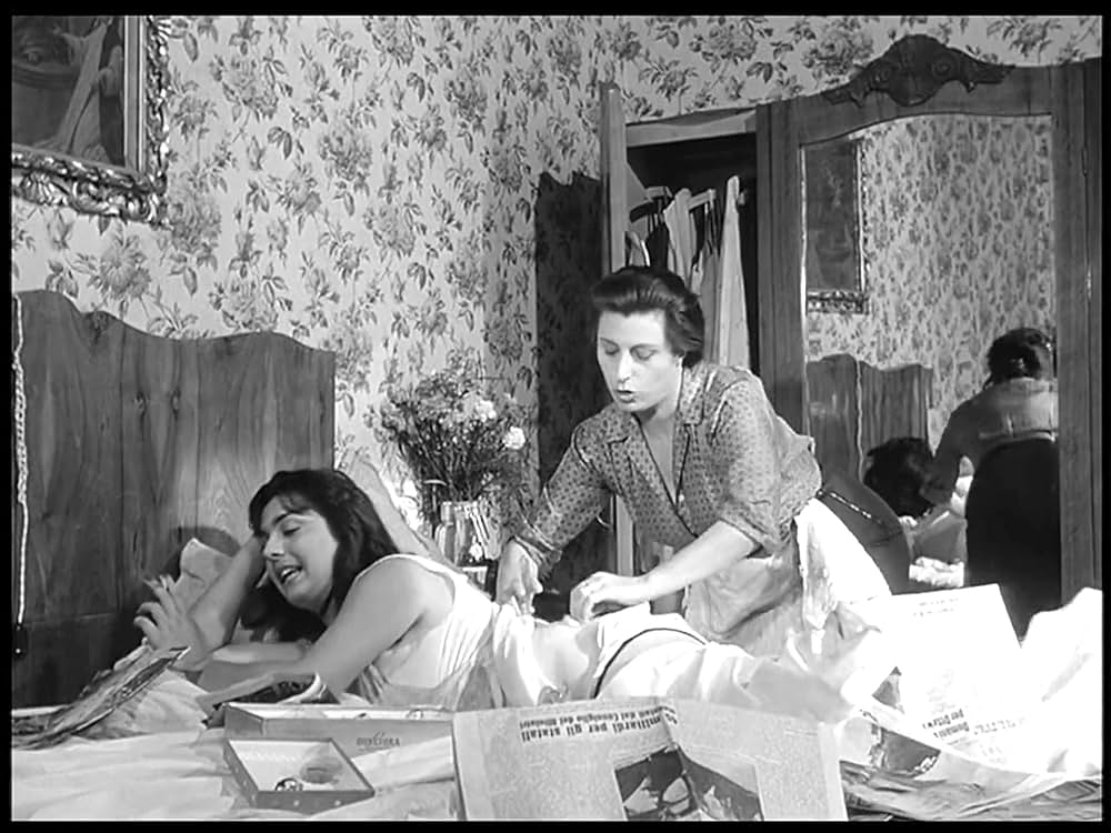 ベリッシマの画像