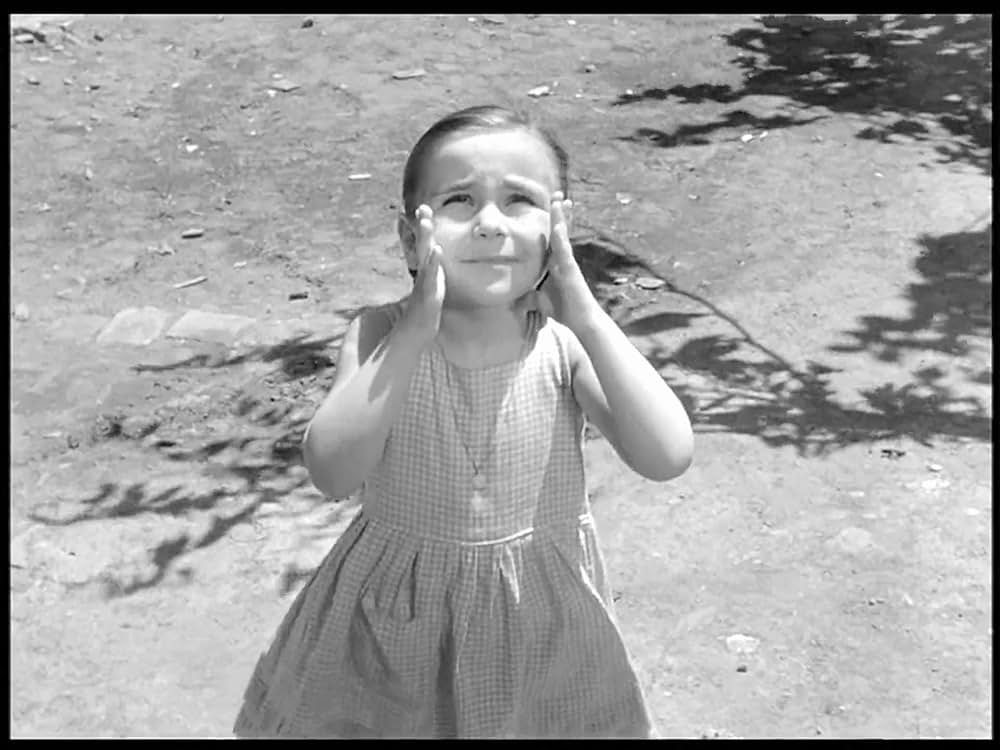 ベリッシマの画像