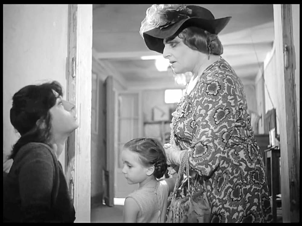 ベリッシマの画像