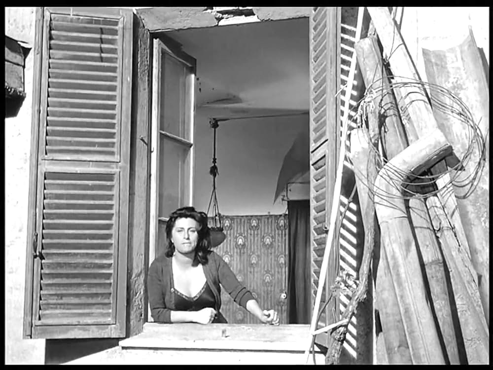 ベリッシマの画像