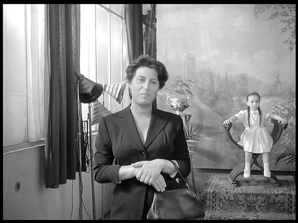 ベリッシマの画像