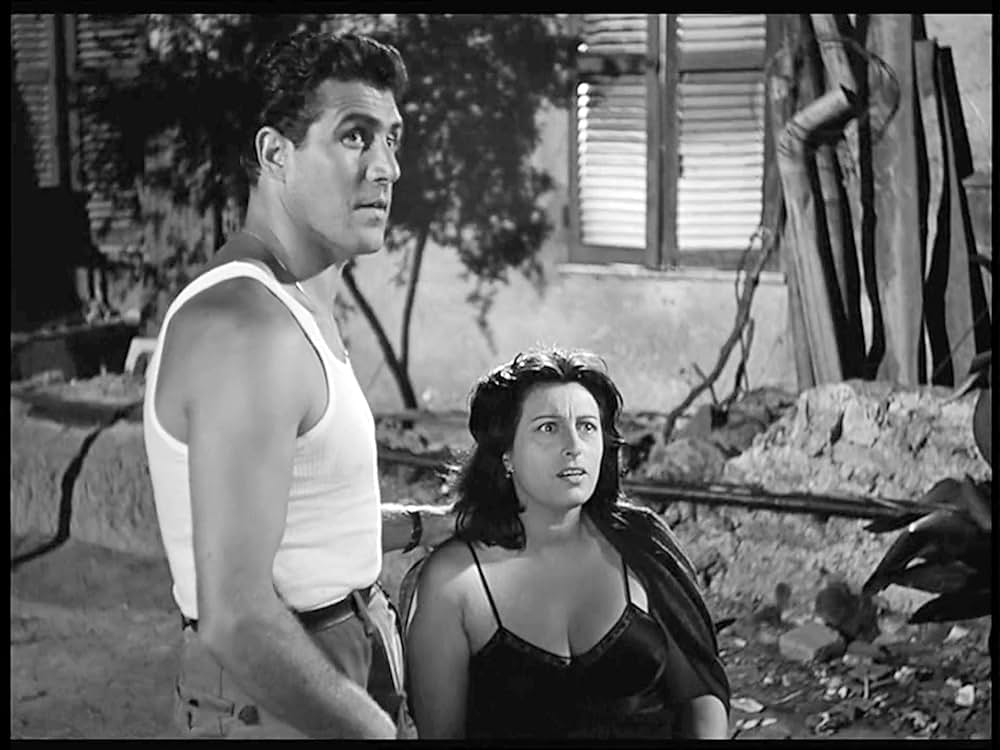 ベリッシマの画像