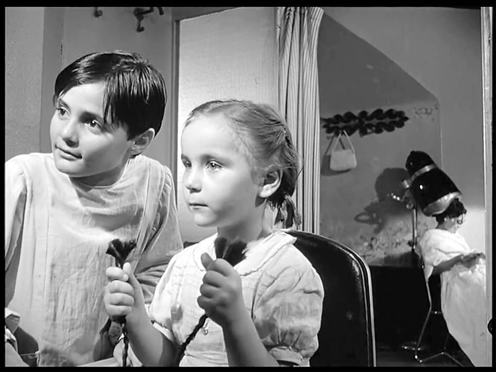 ベリッシマの画像