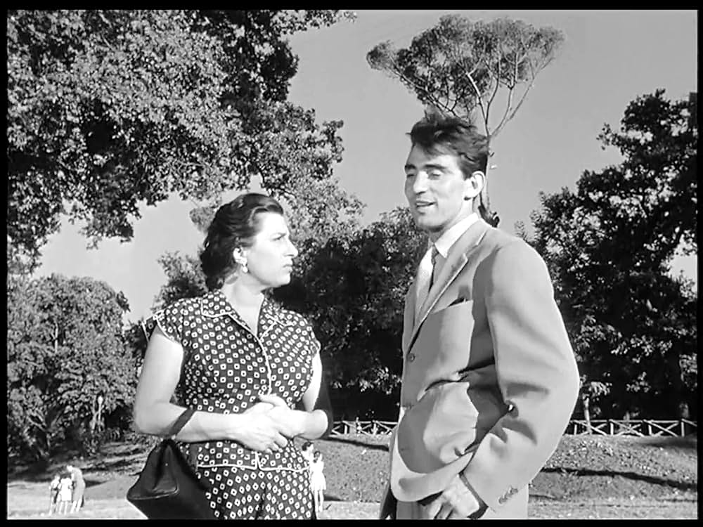 ベリッシマの画像