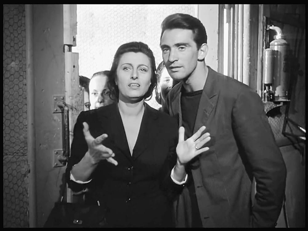 ベリッシマの画像