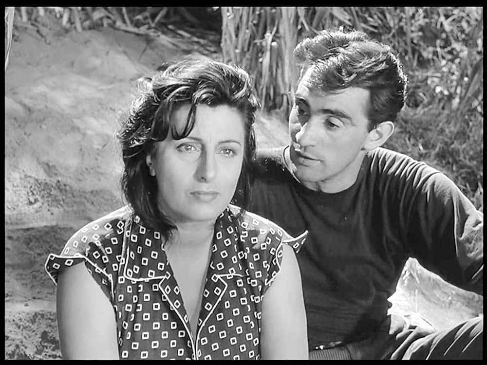 ベリッシマの画像