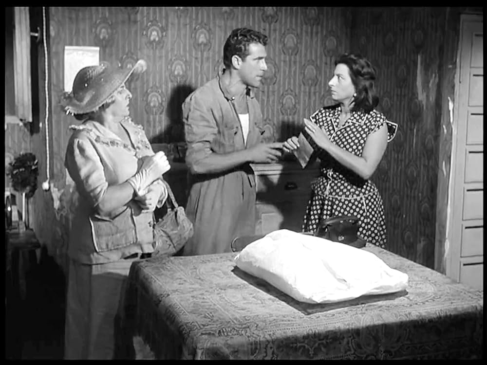 ベリッシマの画像