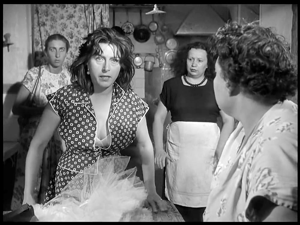 ベリッシマの画像