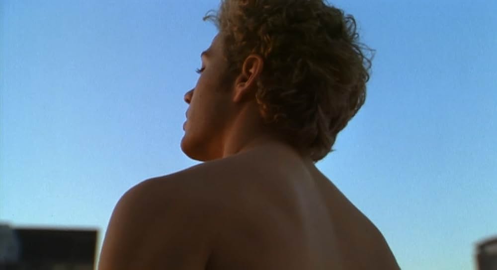 54 フィフティ★フォーの画像