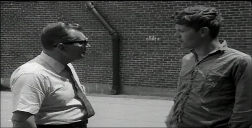 チチカット・フォーリーズの画像