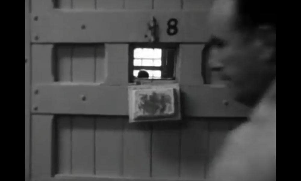 チチカット・フォーリーズの画像