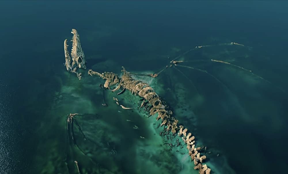 DRAGON ドラゴンの画像