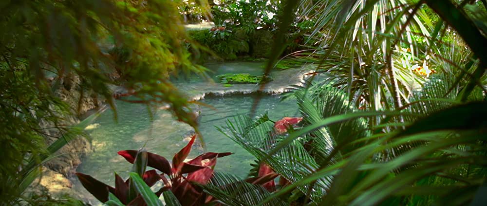 DRAGON ドラゴンの画像