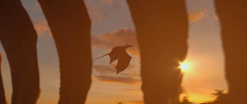 DRAGON ドラゴンの画像