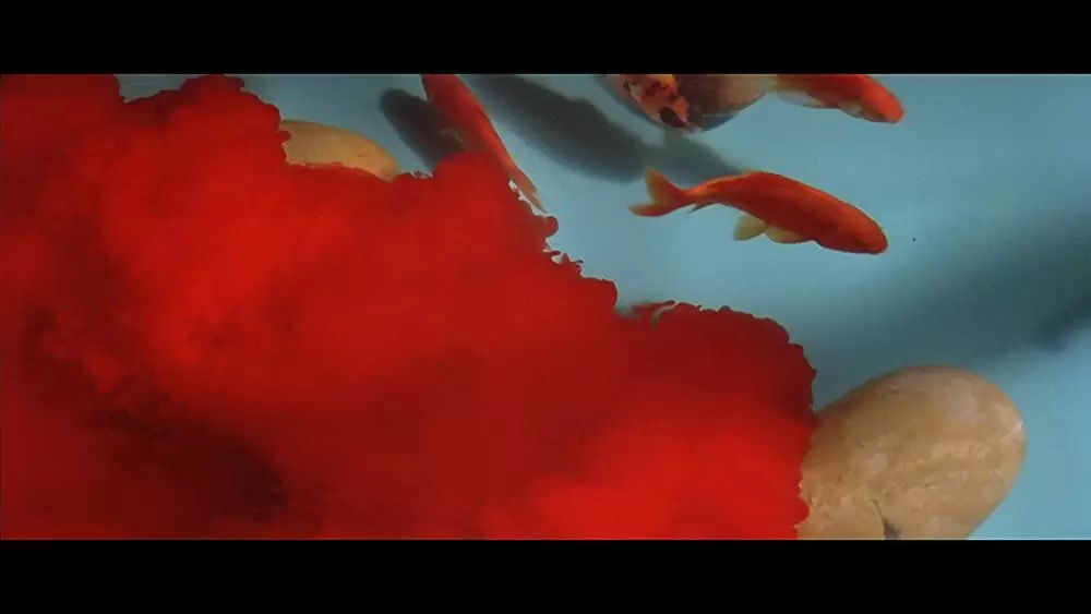 クンドゥンの画像