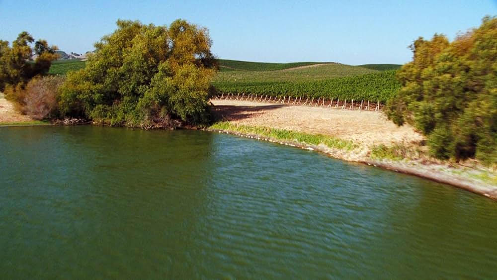 ボトル・ドリーム カリフォルニアワインの奇跡の画像