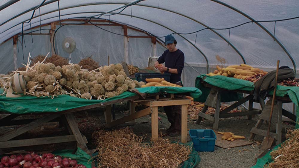 「ナイト・スリーパーズ ダム爆破計画」ジェシー・アイゼンバーグの画像