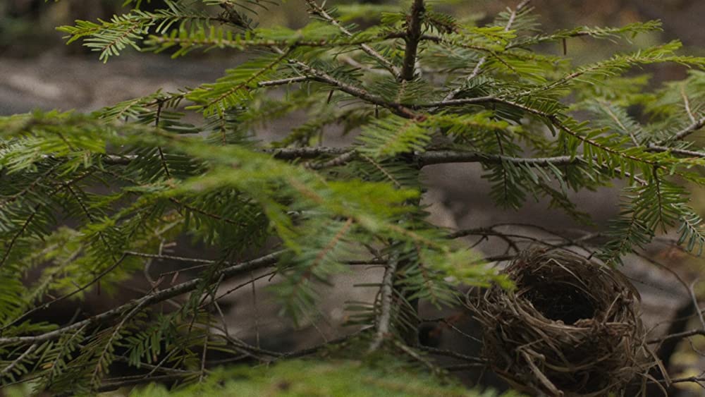 「ナイト・スリーパーズ ダム爆破計画」の画像