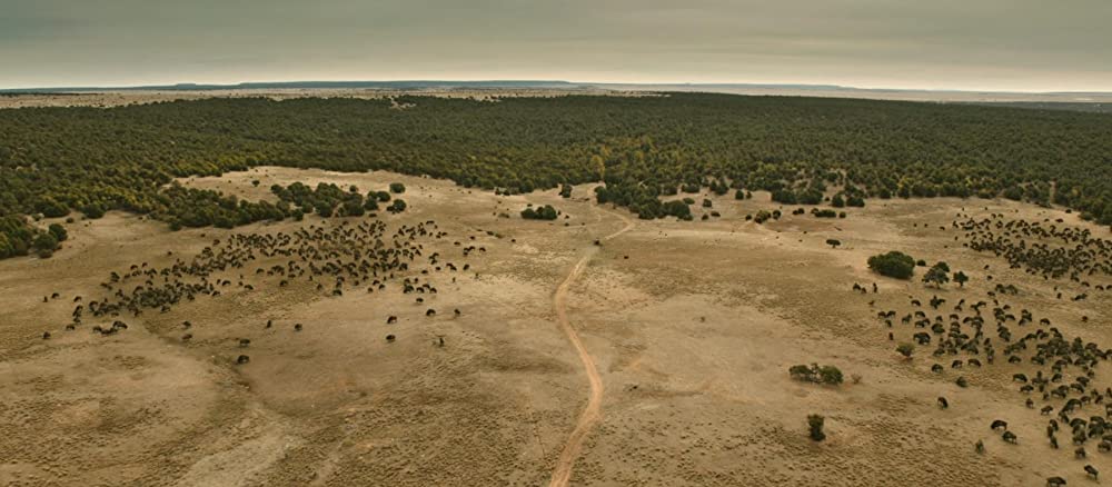 「この茫漠たる荒野で」の画像