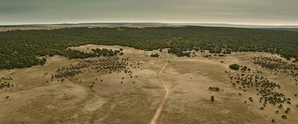 「この茫漠たる荒野で」の画像