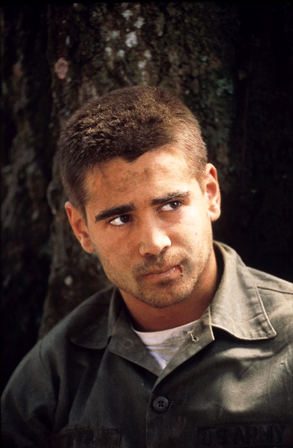 タイガーランドの画像