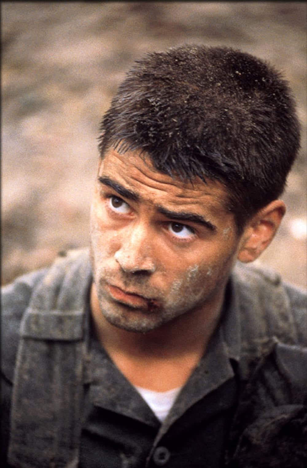 タイガーランドの画像