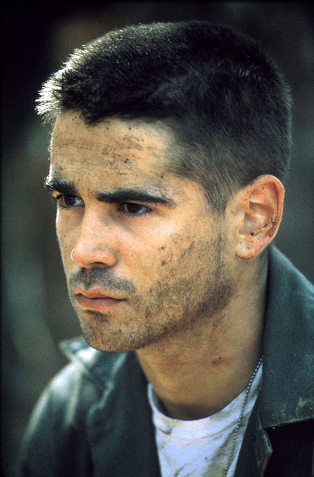 タイガーランドの画像