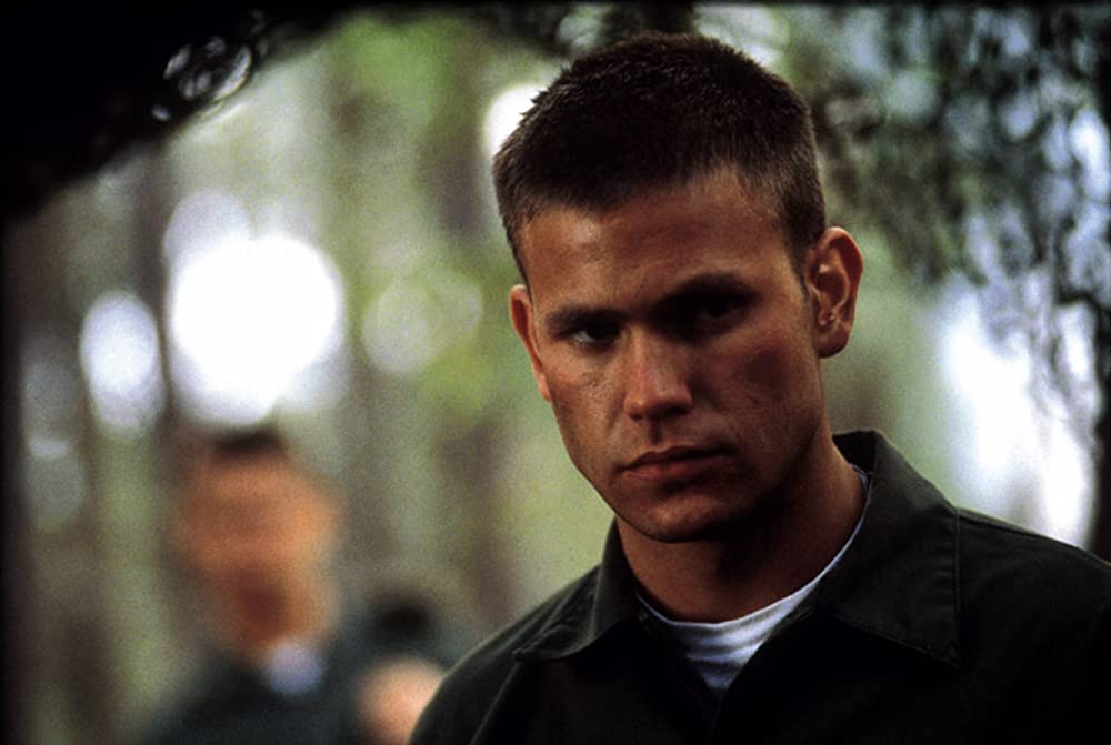 タイガーランドの画像