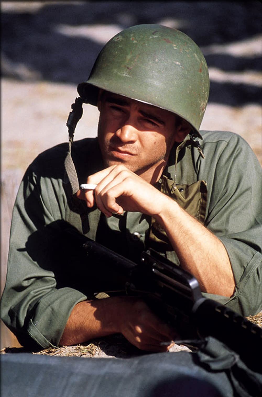 タイガーランドの画像