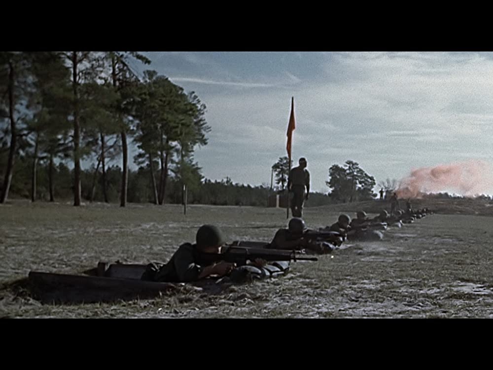 タイガーランドの画像