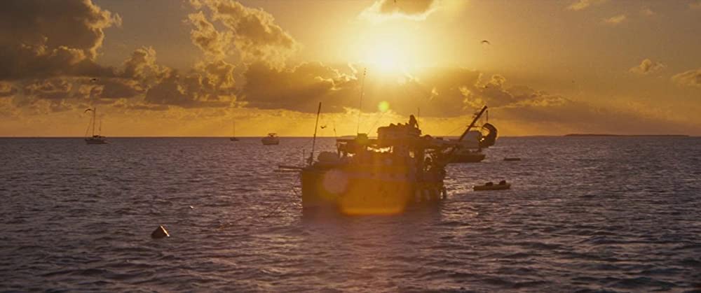 「ビーチ・バム まじめに不真面目」の画像