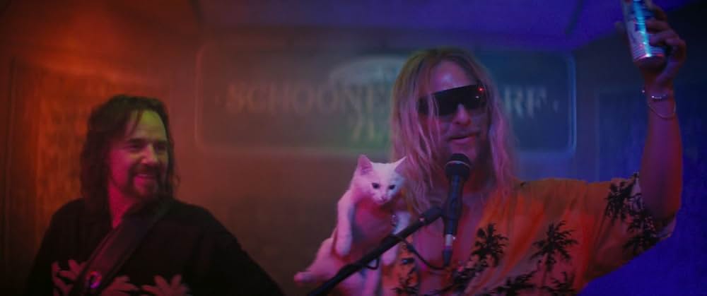 ビーチ・バム まじめに不真面目の画像