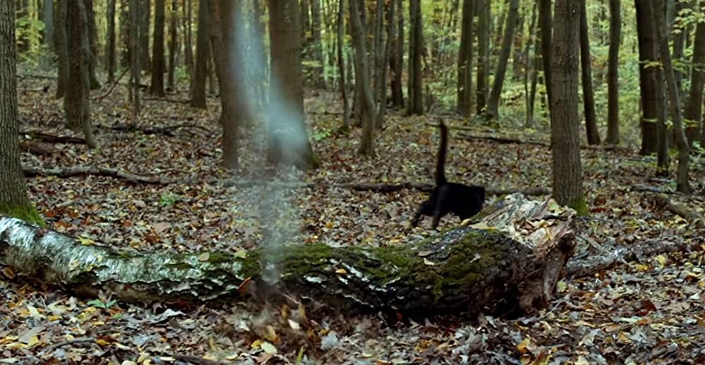 ロード・オブ・カオスの画像