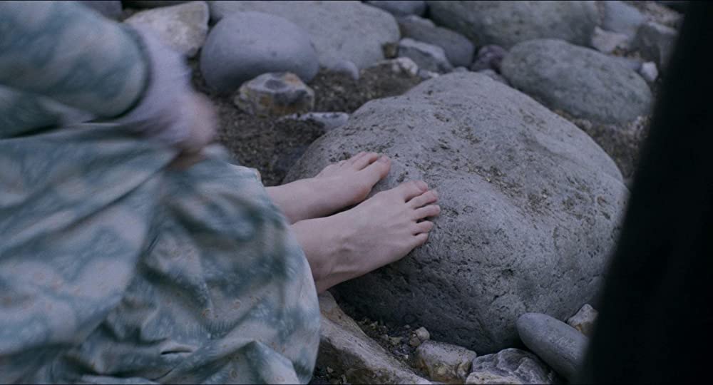 アンモナイトの目覚めの画像