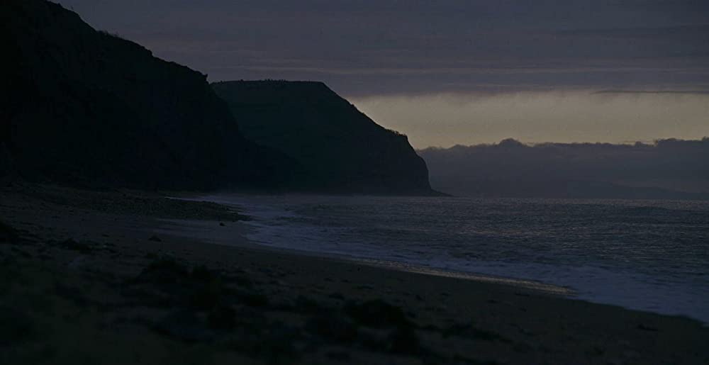 アンモナイトの目覚めの画像