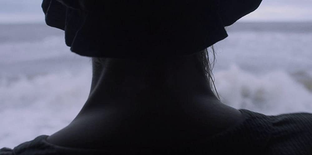 アンモナイトの目覚めの画像