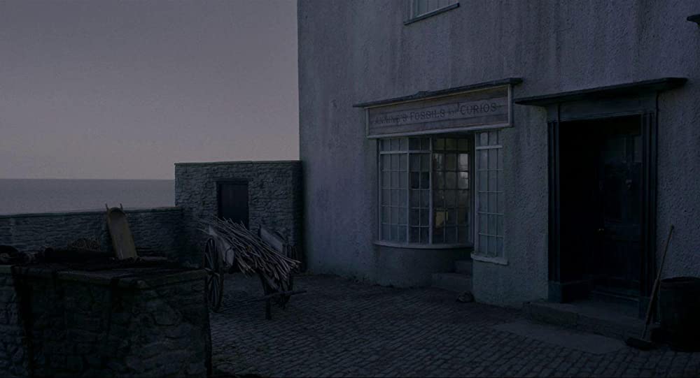 アンモナイトの目覚めの画像